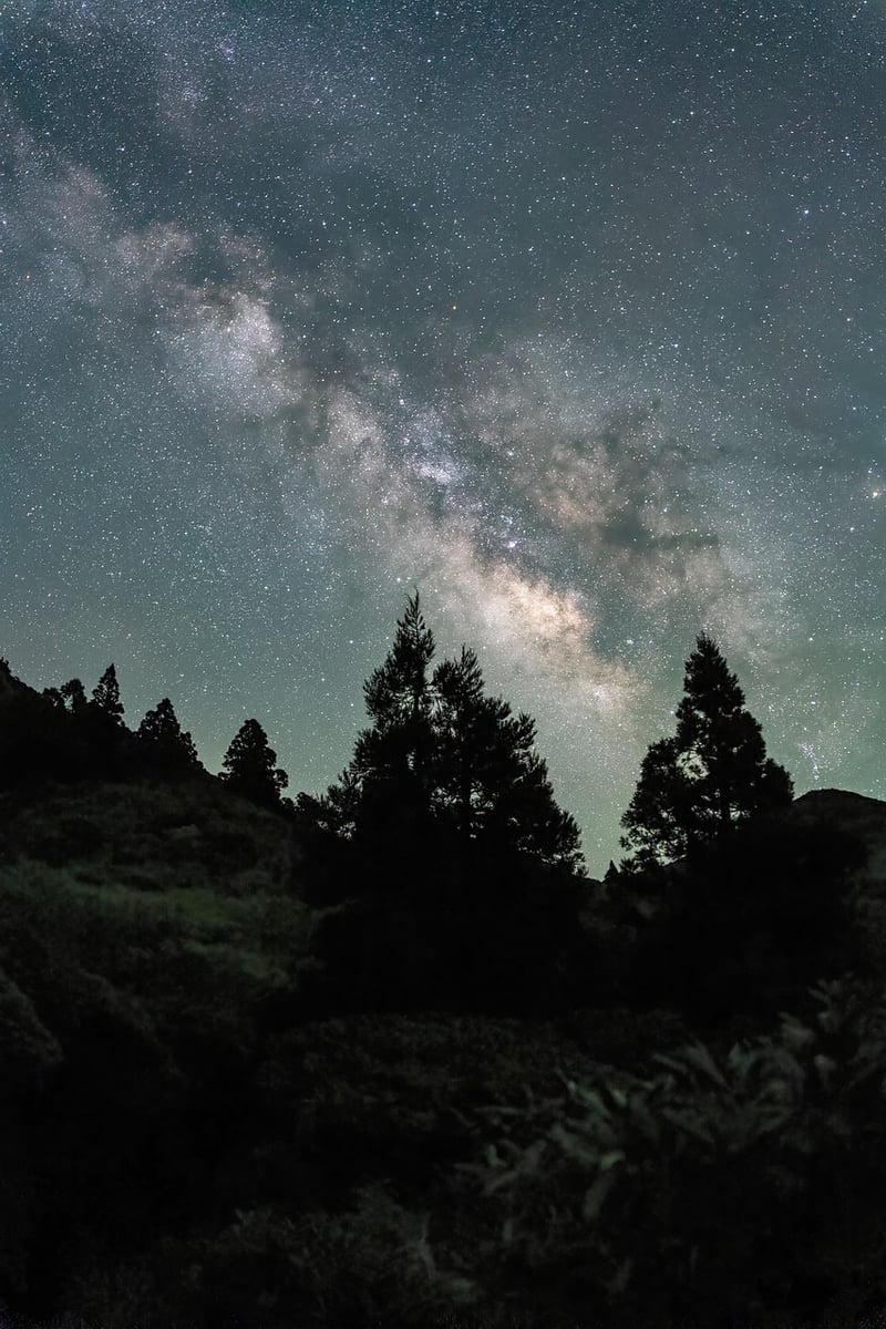 Starry Night Sky Ceiling